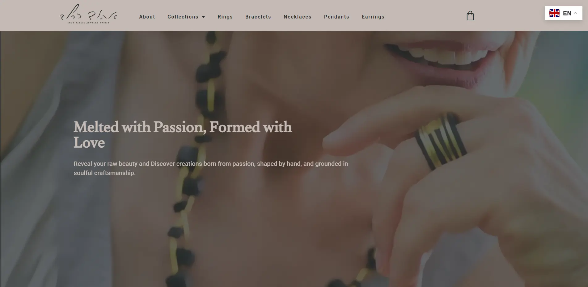 Ehud Barlev – Website Bug Fixing